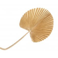 Χριστουγεννιάτικο Κλαδί Πλατύφυλλο (54cm)